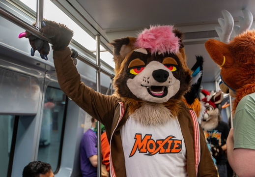 MBTAnimals FurRide Sept 2025