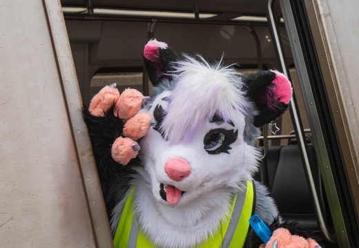 DC FurRide 3
